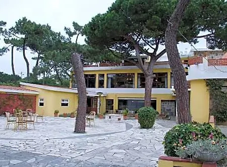 Hotel Vip Miramonte 3*